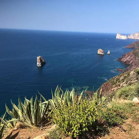 Splendida Nebida